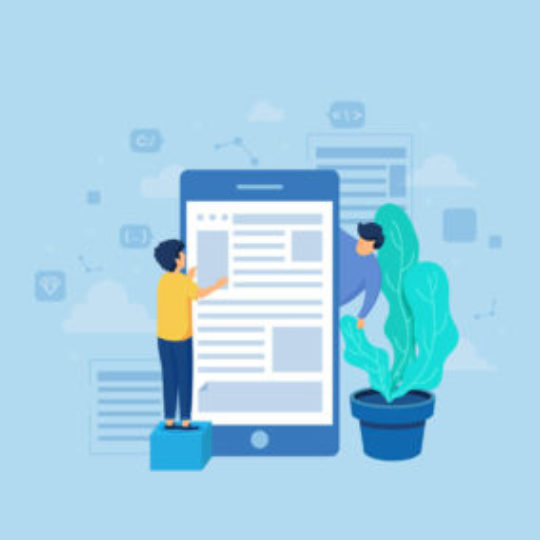 Online-Media-Management-300×284